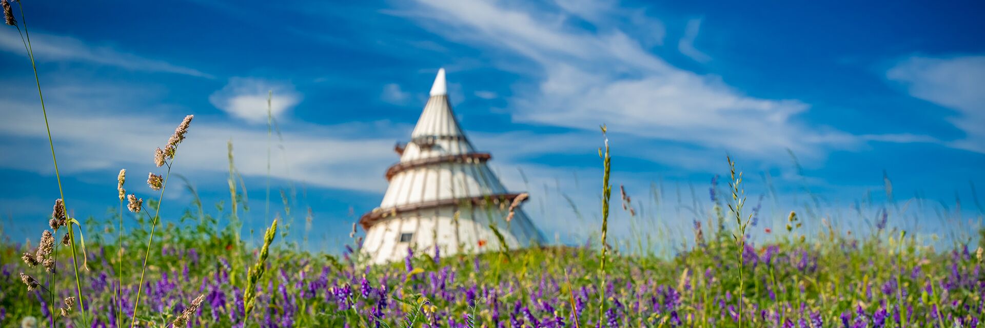 Wiese im Elbauenpark mit Jahrtausendturm im Hintergrund